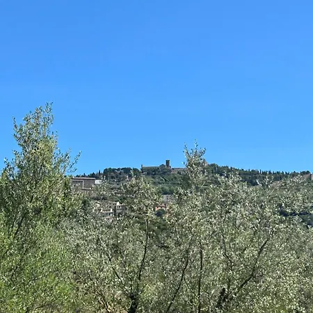 La Terrazza Degli Ulivi - View * Cortona