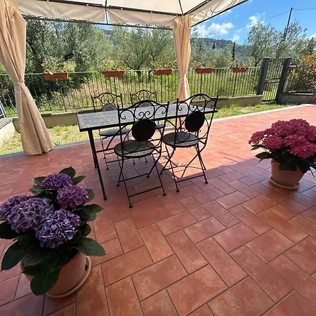 La Terrazza Degli Ulivi - View