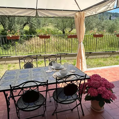 La Terrazza Degli Ulivi - View Appartamento