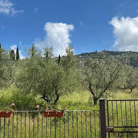 La Terrazza Degli Ulivi - View Appartamento *