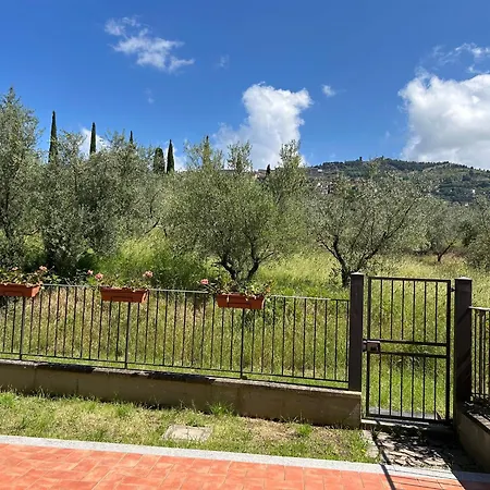 La Terrazza Degli Ulivi - View Appartamento Cortona