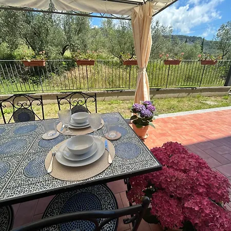 La Terrazza Degli Ulivi - View Appartamento *