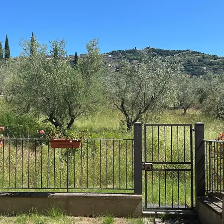 Appartamento La Terrazza Degli Ulivi - View Cortona