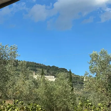 Appartamento La Terrazza Degli Ulivi - View Cortona