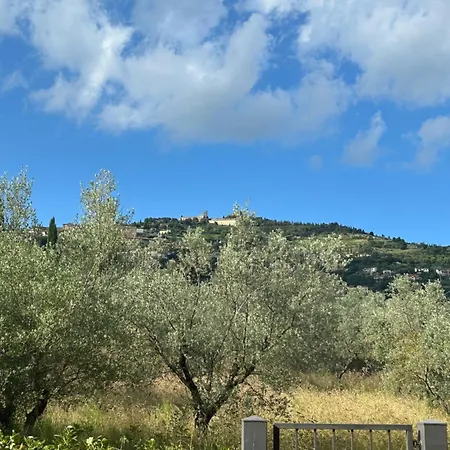 La Terrazza Degli Ulivi - View *
